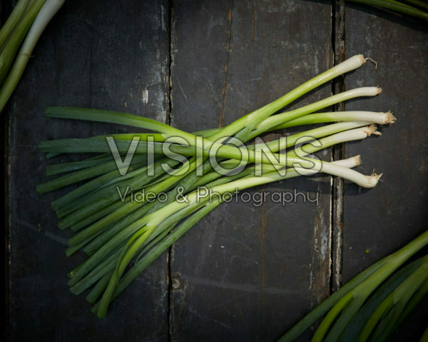 Allium fistulosum Allium fistulosum