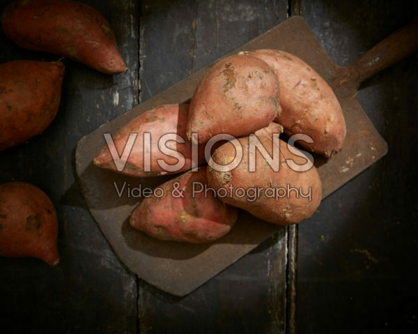 Ipomoea batatas Covington Ipomoea batatas Covington
