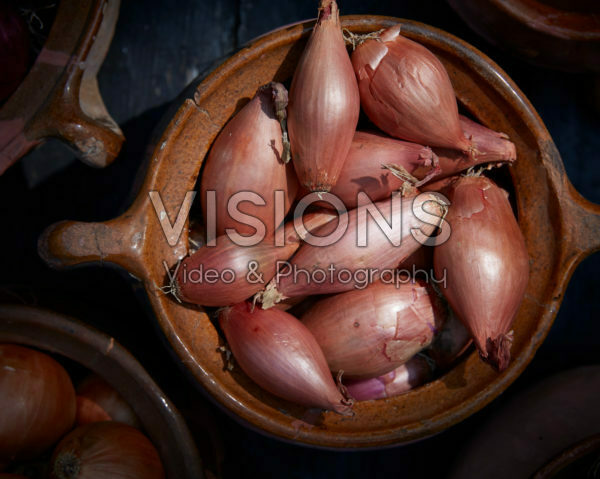 Allium ascalonicum Allium ascalonicum