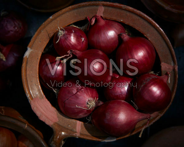 Allium cepa Allium cepa