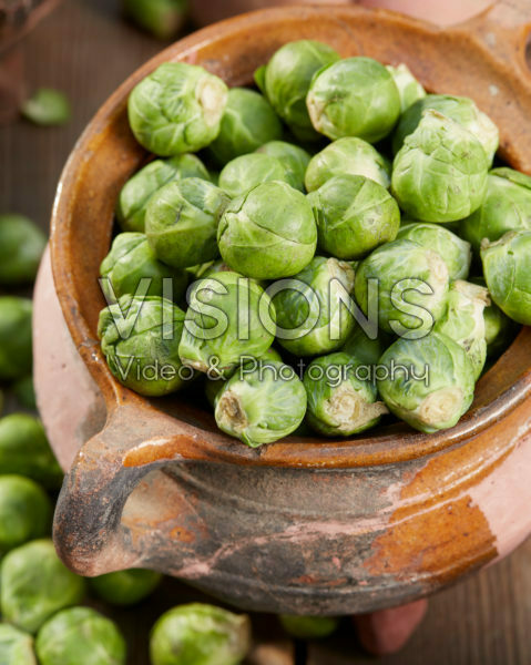 Brassica oleracea var. gemmifera Brassica oleracea var. gemmifera