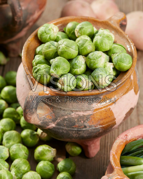 Brassica oleracea var. gemmifera
