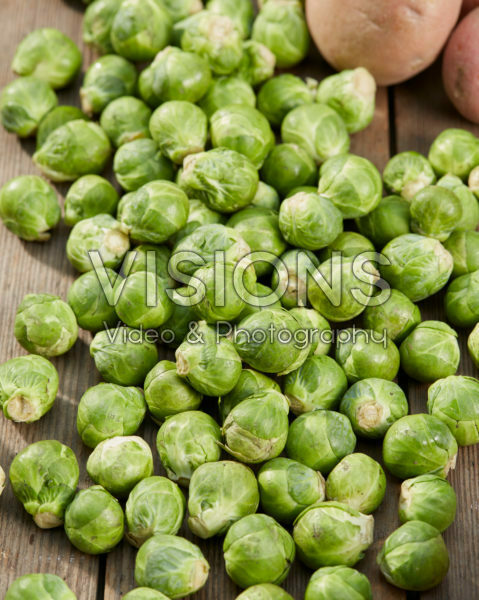 Brassica oleracea var. gemmifera Brassica oleracea var. gemmifera