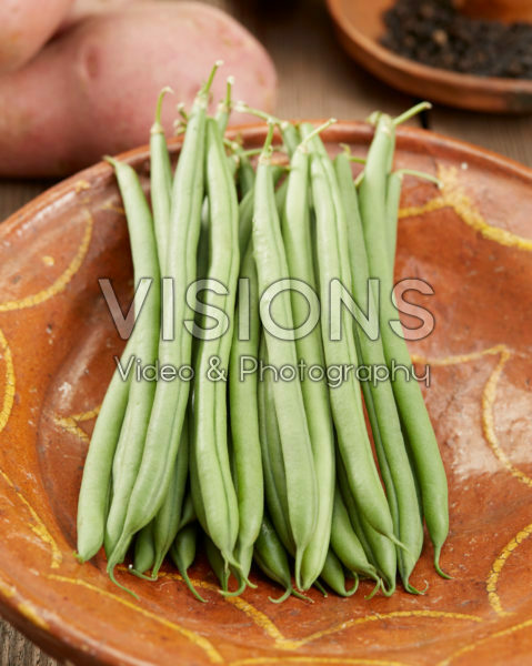 Phaseolus vulgaris