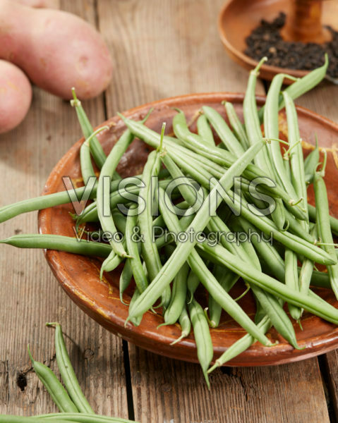 Phaseolus vulgaris Phaseolus vulgaris