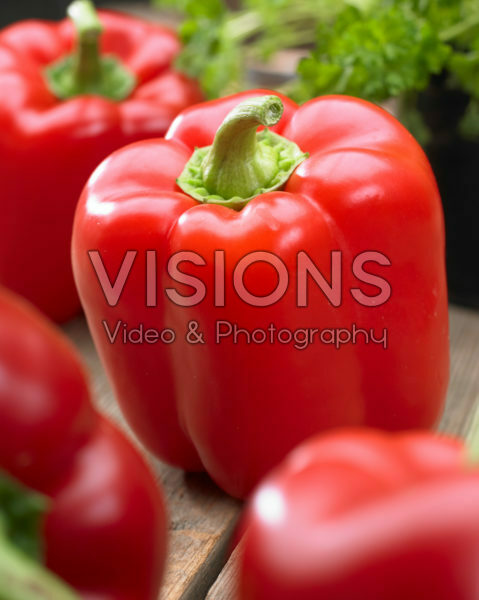 Capsicum annuum
