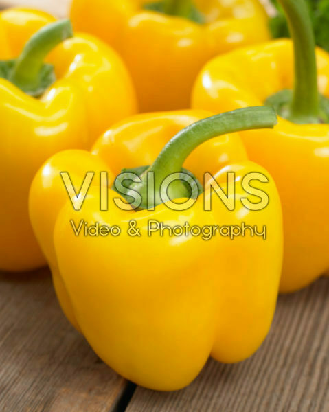 Capsicum annuum