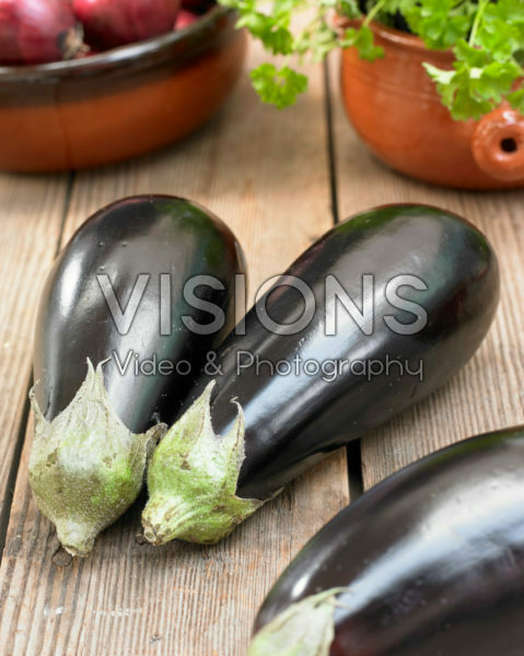 Solanum melongena Solanum melongena