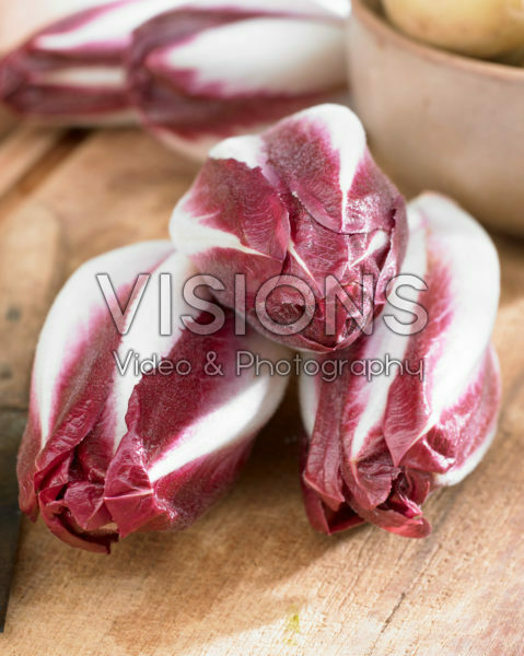 Radicchio Rosso Radicchio Rosso