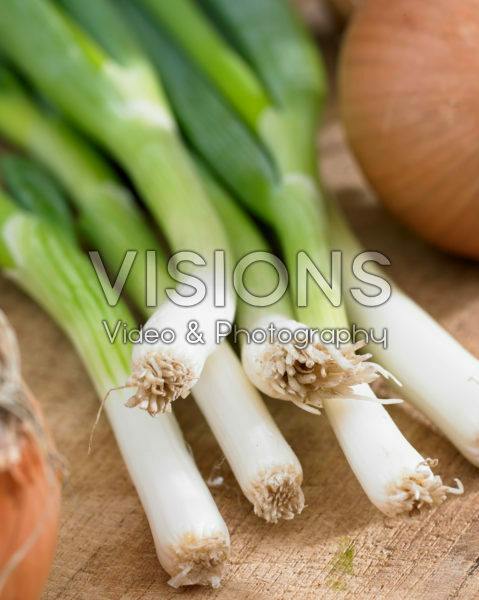 Allium fistulosum Allium fistulosum