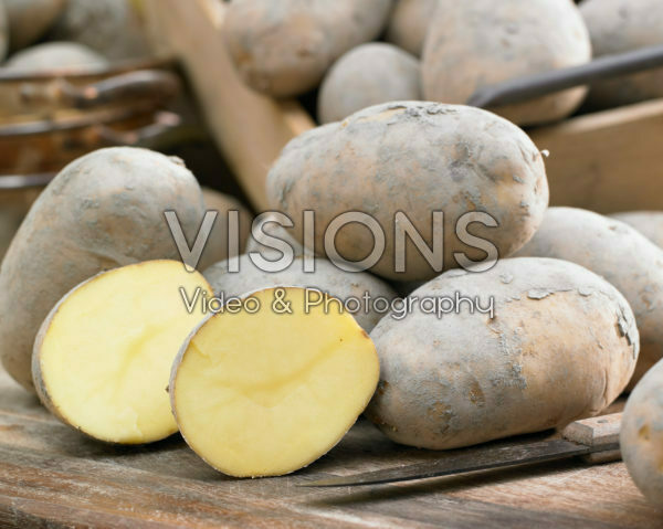 Solanum tuberosum Frieslander Solanum tuberosum Frieslander