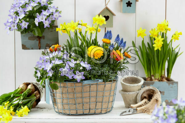 Spring container Spring container
