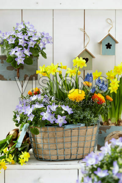Voorjarscontainer