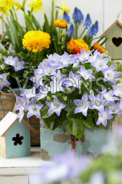 Spring container