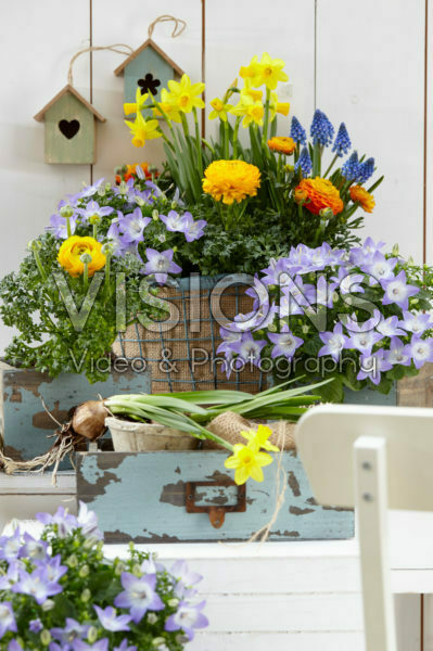 Spring container