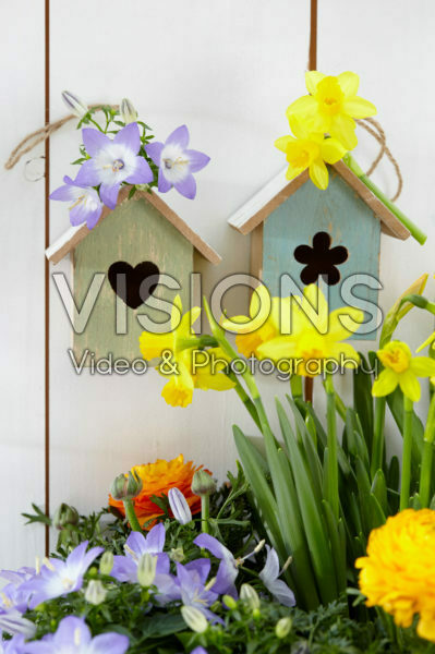 Voorjaarsbloemen Voorjaarsbloemen