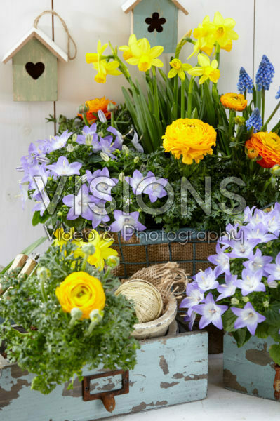 Voorjarscontainer Voorjarscontainer
