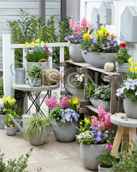 Spring collection Spring collection