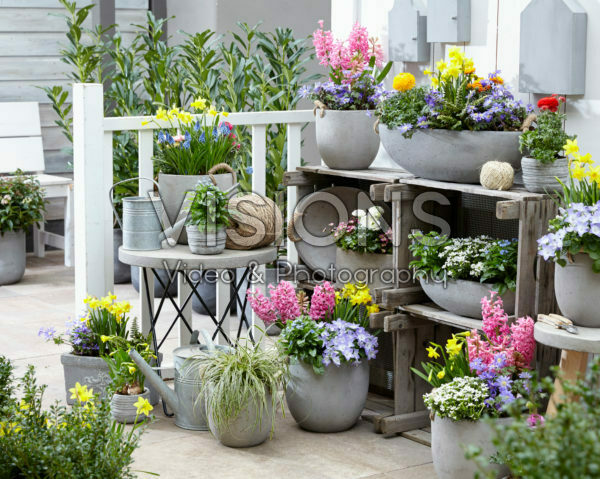 Spring collection