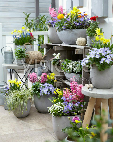 Spring collection Spring collection