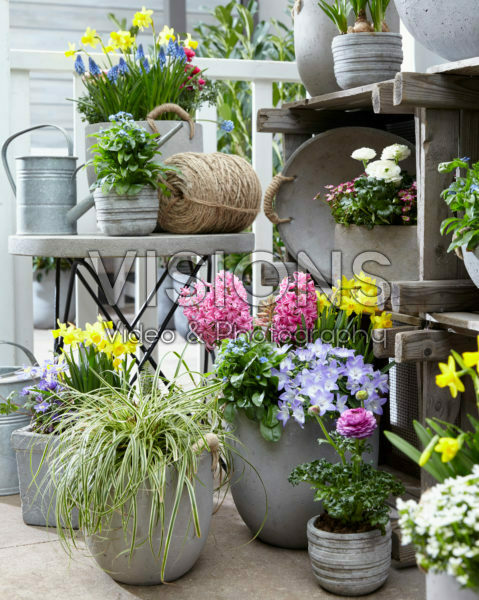 Spring collection