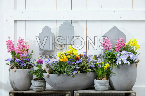 Spring collection
