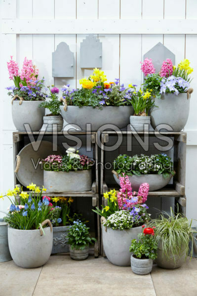 Spring collection