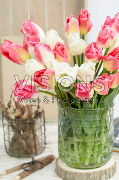 Tulipa boeket