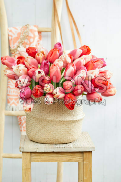 Tulipa Pride boeket