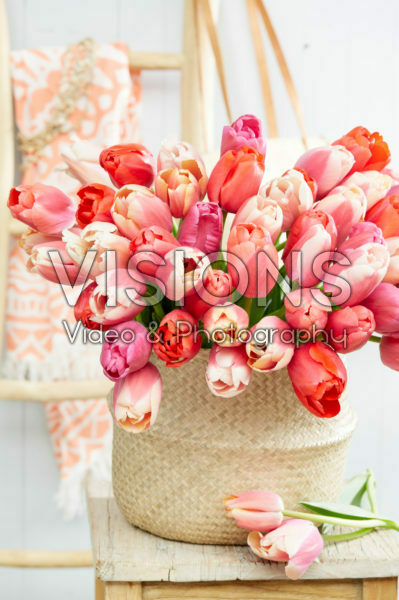 Tulipa Pride boeket