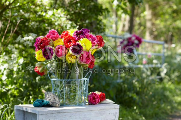 Tulipa Pop Up boeket Tulipa Pop Up boeket