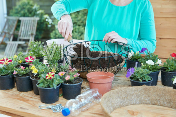 Het maken van hanging baskets