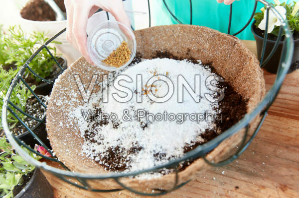 Creating hanging baskets