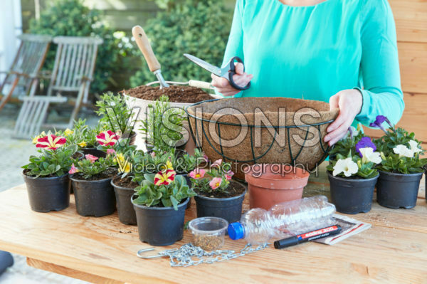 Creating hanging baskets