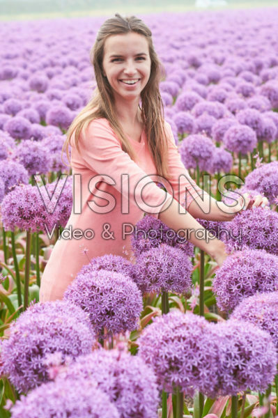 Allium Globemaster Allium Globemaster