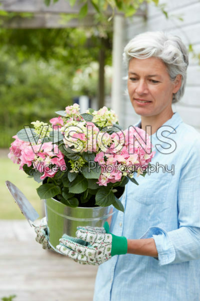 Lady holding hydrangea