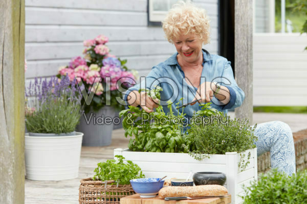 Dame knipt kruiden Dame knipt kruiden
