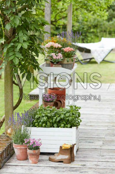 Zomer containers