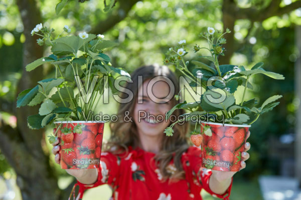 Lady holding straberry plants