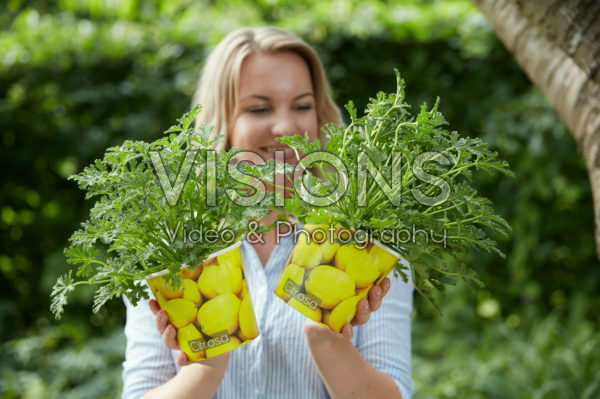 Lady holding pelargonium plants