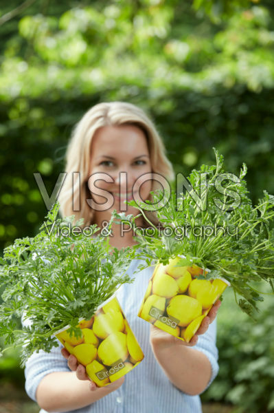 Lady holding pelargonium plants