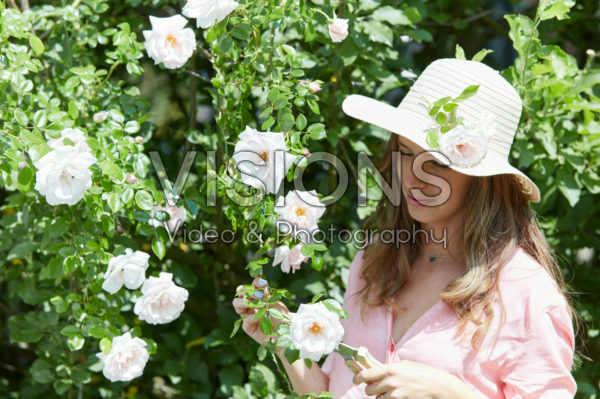Lady cutting roses