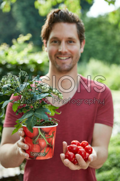 Man met tomaten plant