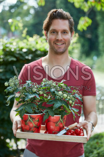 Man met tomaten planten