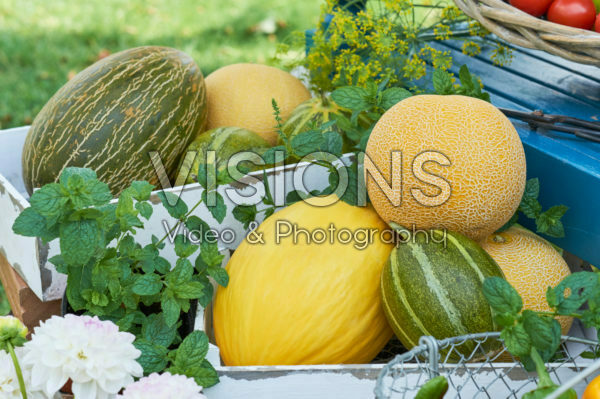 Meloenen collectie