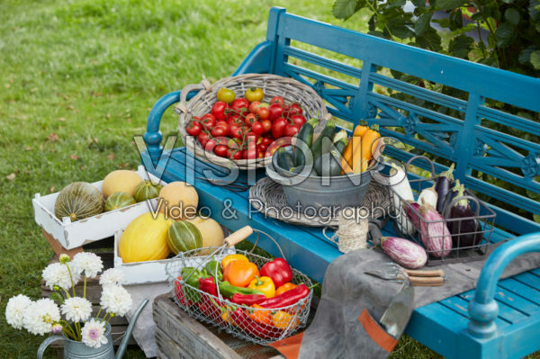 VEGGIE GARDEN