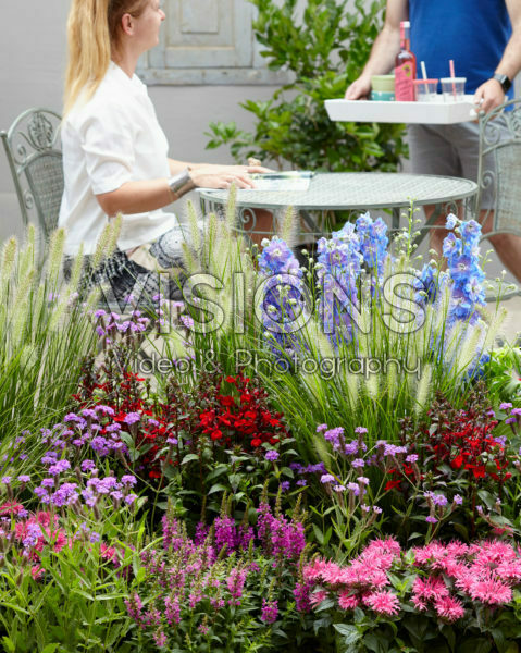 Gemengde vaste planten