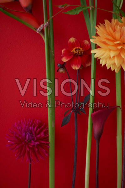 Contemporary summer flower series Contemporary summer flower series