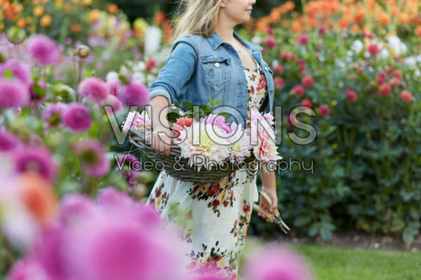 Lady in Dahlia garden