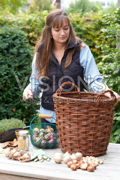 Young lady planting a bulbous lasagne
